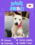 Agnes
