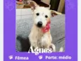 Agnes