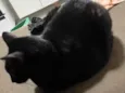 Fiona