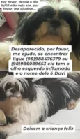Davi 
