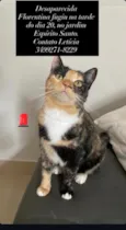 Florentina
