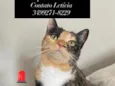 Florentina