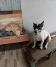 Luffy e pipoca 