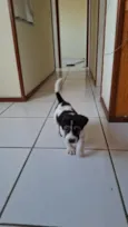 Rob