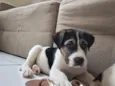 Rob