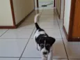 Rob