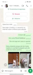 Atena