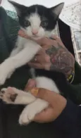 Tom