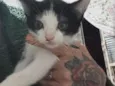 Tom