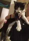 Tom