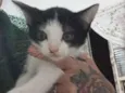 Tom
