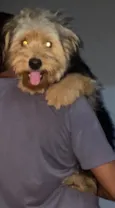 Theo