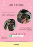 Cacau 