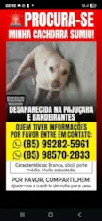 branquinha