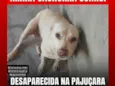 branquinha