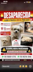 Cristal