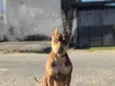 Xena