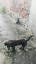 barão e lua