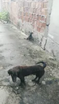 barão e lua