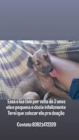 lua 