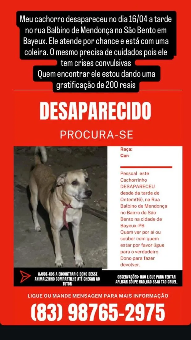Cachorro raça SRD-ViraLata idade 5 anos nome Thance
