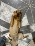 Lili