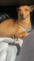 Lili