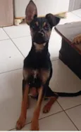 C.P.