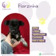 Florzinha