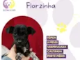 Florzinha