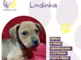 Lindinha