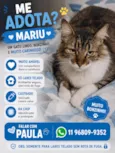 Mariu
