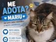 Mariu