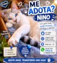 Nino