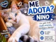 Nino