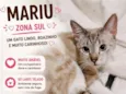 Mariu