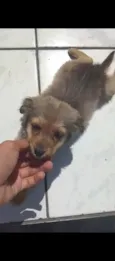soldadinho