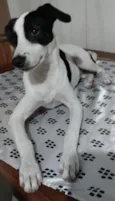 Lua