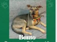 Bento 