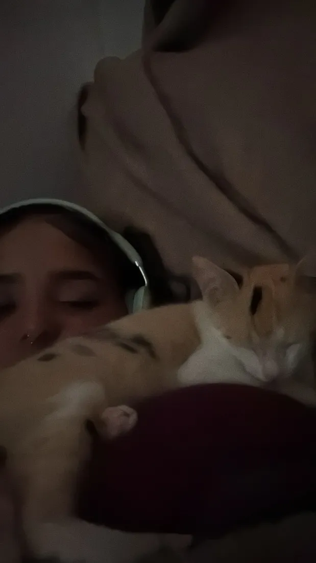 Gato raça SRD-ViraLata idade 2 a 6 meses nome Fuba