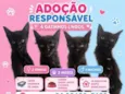 Kiki Bella Antônio