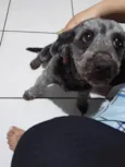 lola