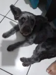 lola