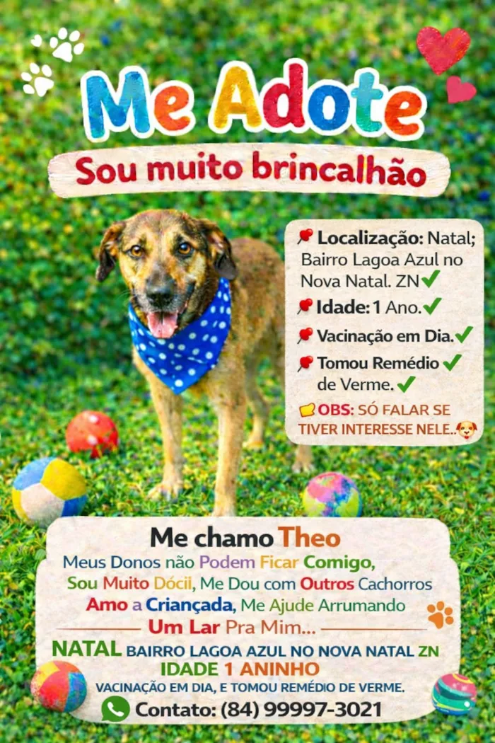 Cachorro raça SRD-ViraLata idade 1 ano nome THEO