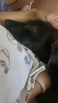 pretinho 