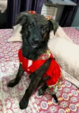 yuki