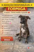 Formiga