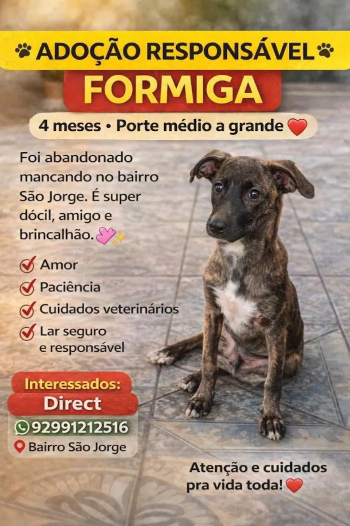 Cachorro raça SRD-ViraLata idade 2 a 6 meses nome Formiga