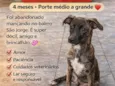 Formiga