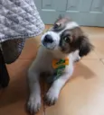 luki
